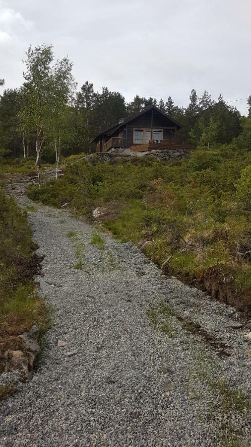Villa Molvik Hytten à Ostereidet Extérieur photo