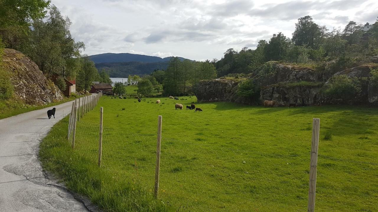 Villa Molvik Hytten à Ostereidet Extérieur photo
