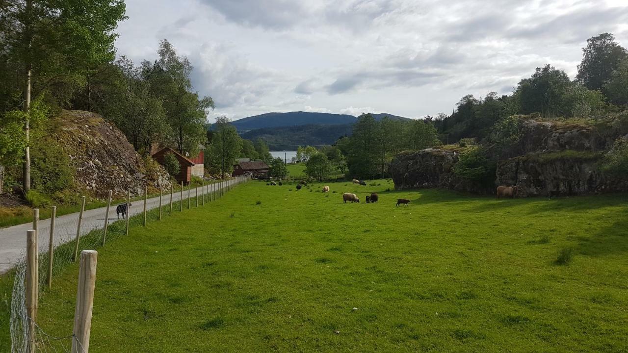 Villa Molvik Hytten à Ostereidet Extérieur photo