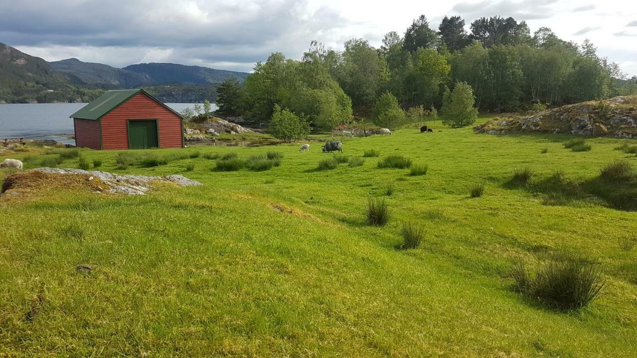 Villa Molvik Hytten à Ostereidet Extérieur photo